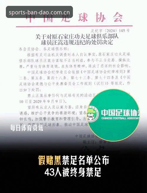 半岛体育iOS版教程 中国足球终身禁足 vs 五年禁令:足协第三批处罚名单全面解读